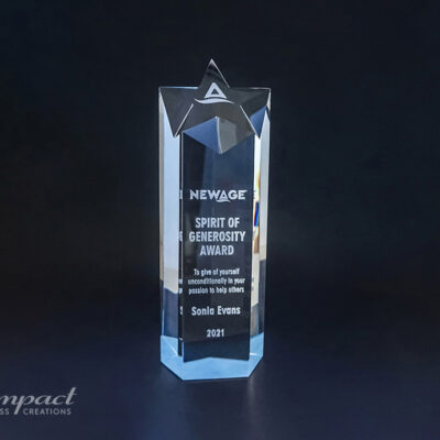 New Age Spirit Of Generosity Award